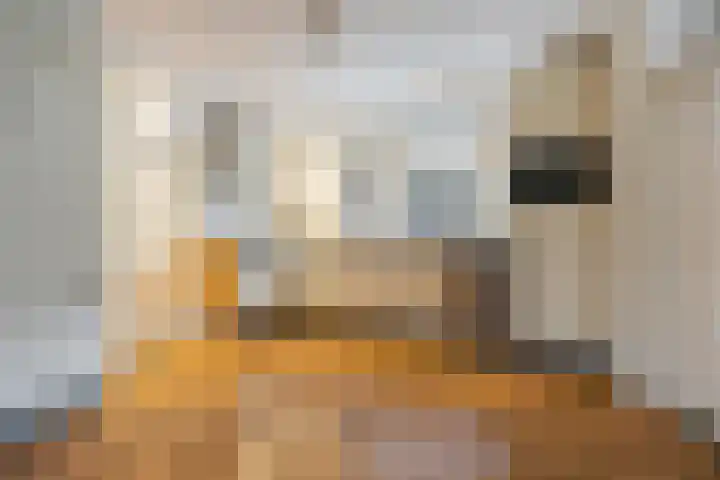 Populierenstraat 3 Boven-Leeuwen thumbnail 7