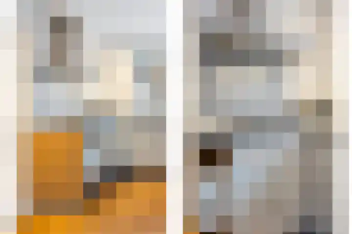 Populierenstraat 3 Boven-Leeuwen thumbnail 8