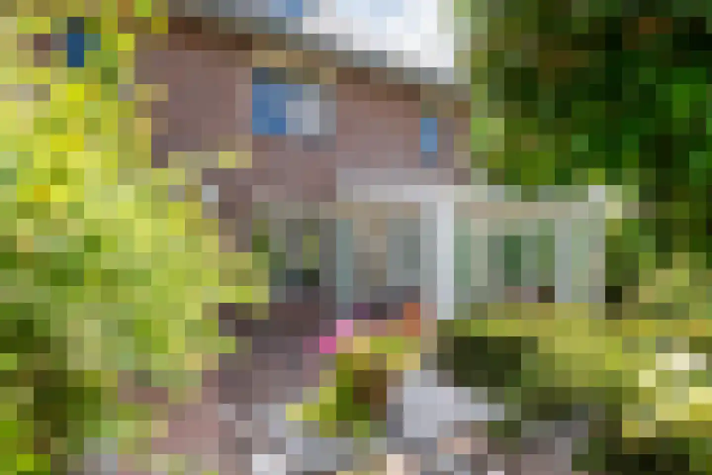 Populierenstraat 33 Boven-Leeuwen thumbnail 32