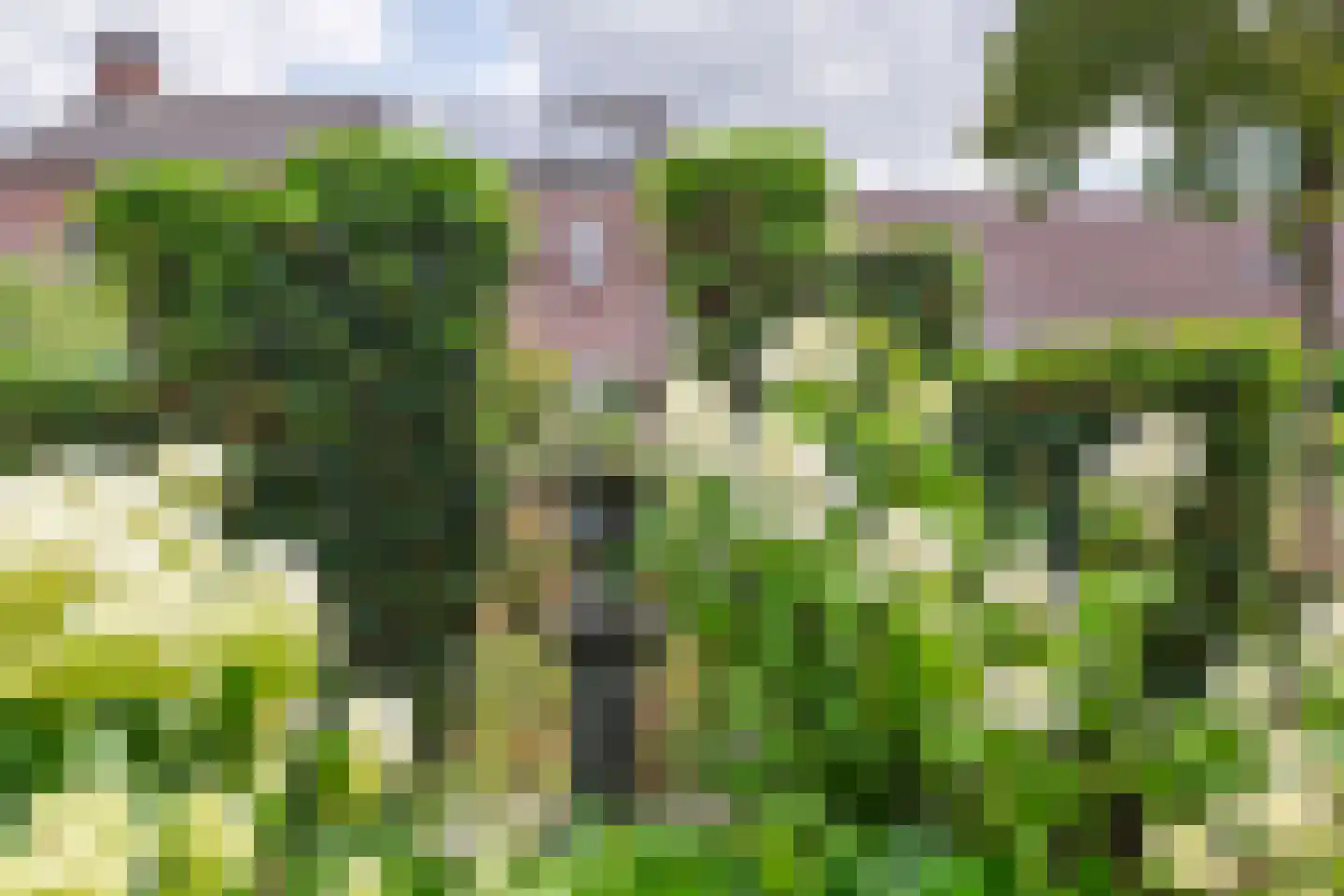 Populierenstraat 33 Boven-Leeuwen thumbnail 37