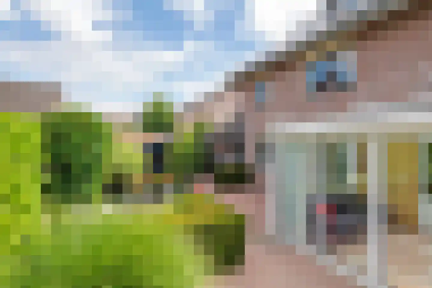 Populierenstraat 33 Boven-Leeuwen thumbnail 38