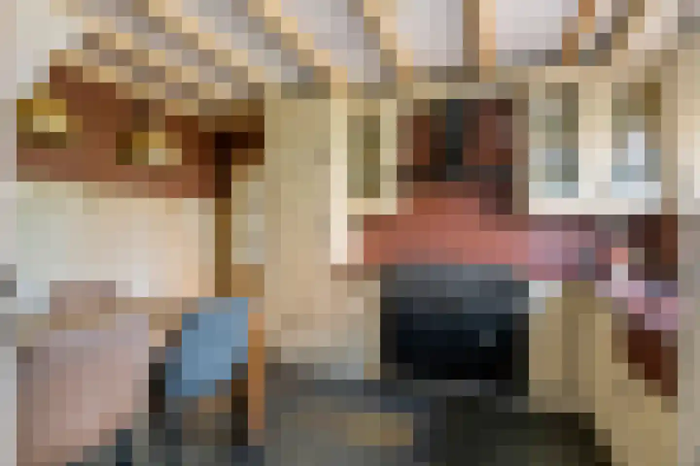 Populierenstraat 33 Boven-Leeuwen thumbnail 9