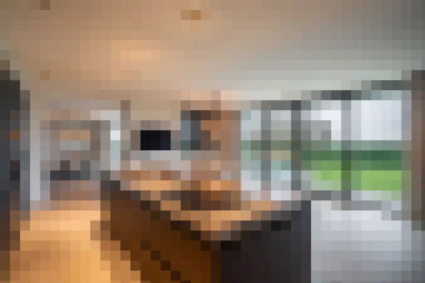 Populierenstraat 35 St. Willebrord thumbnail 16