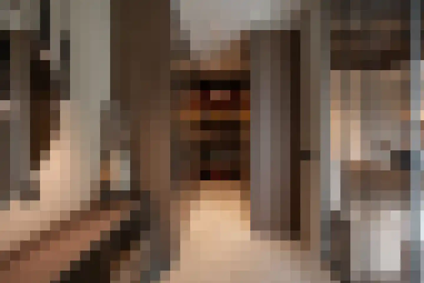 Populierenstraat 35 St. Willebrord thumbnail 23