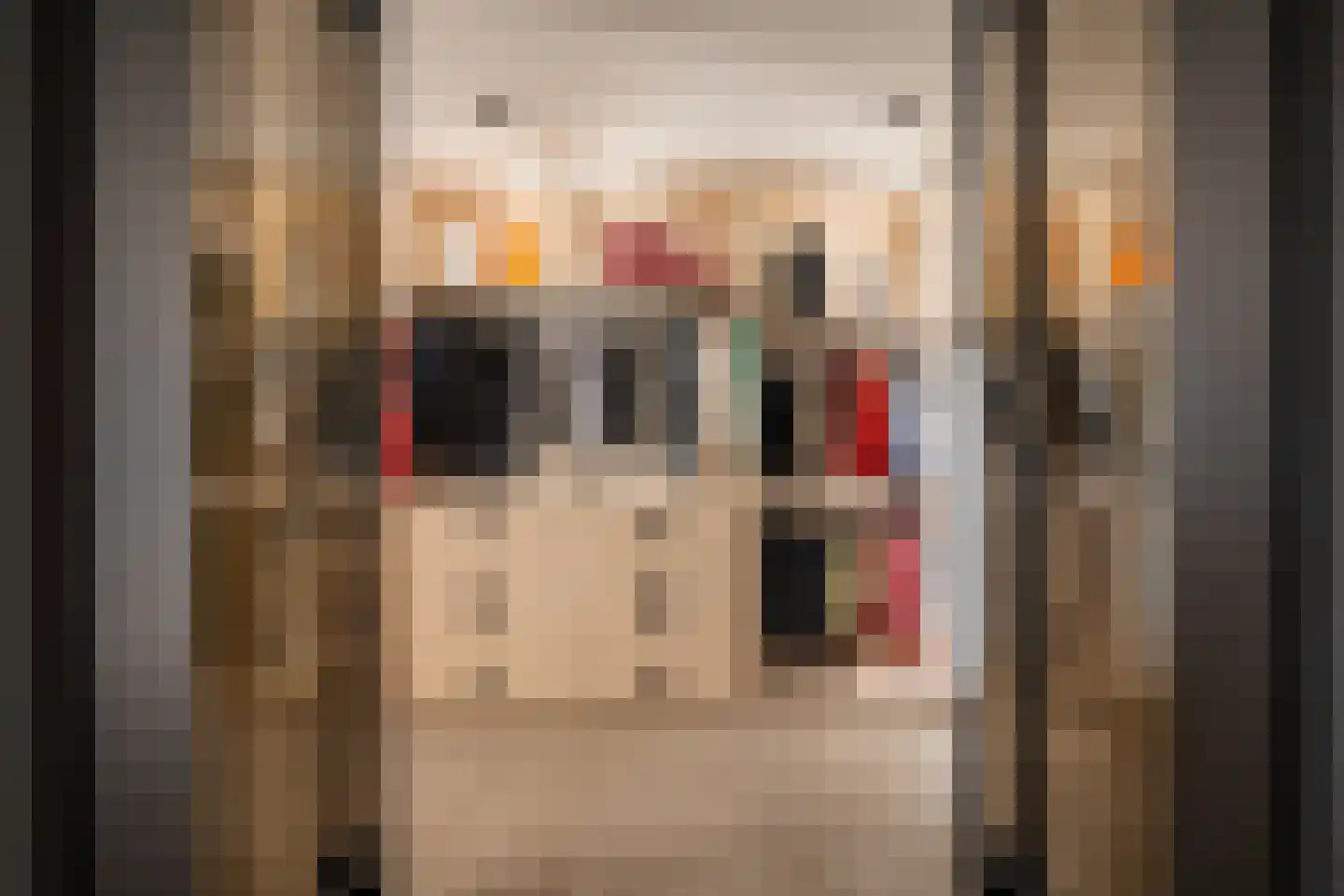 Populierenstraat 35 St. Willebrord thumbnail 31