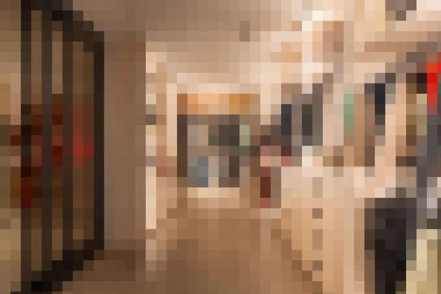 Populierenstraat 35 St. Willebrord thumbnail 32