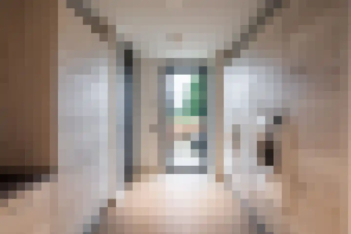 Populierenstraat 35 St. Willebrord thumbnail 40