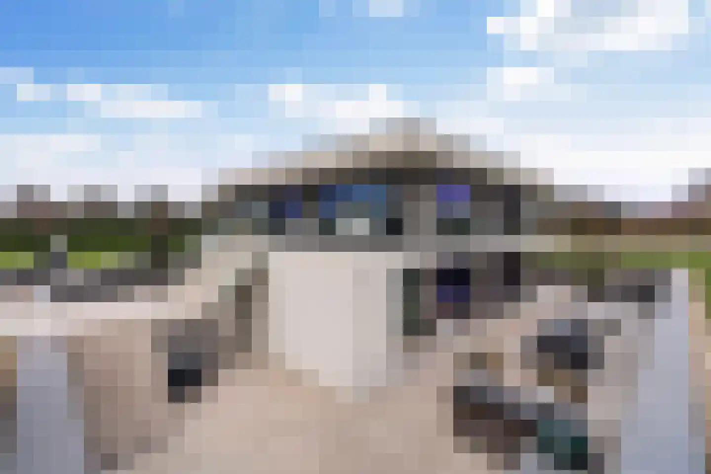 Populierenstraat 35 St. Willebrord thumbnail 46