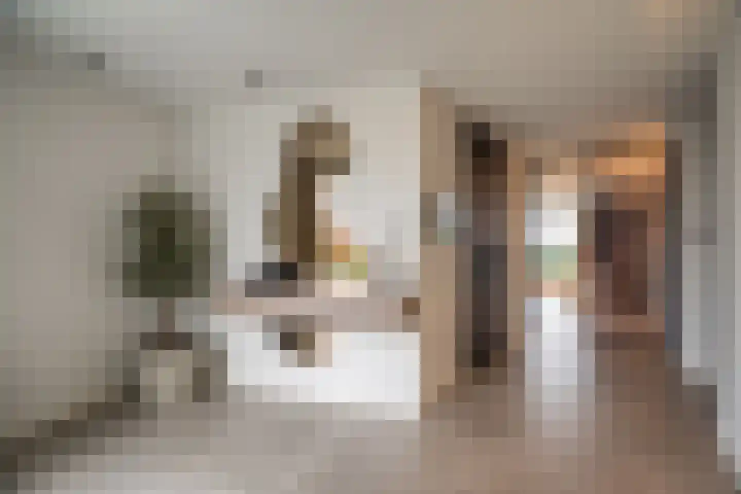 Populierenstraat 35 St. Willebrord thumbnail 7