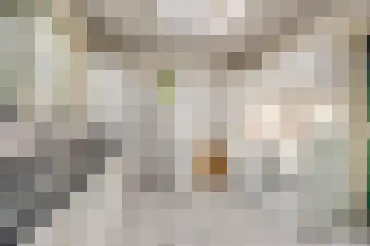 Populierenstraat 35 Vogelwaarde thumbnail 13