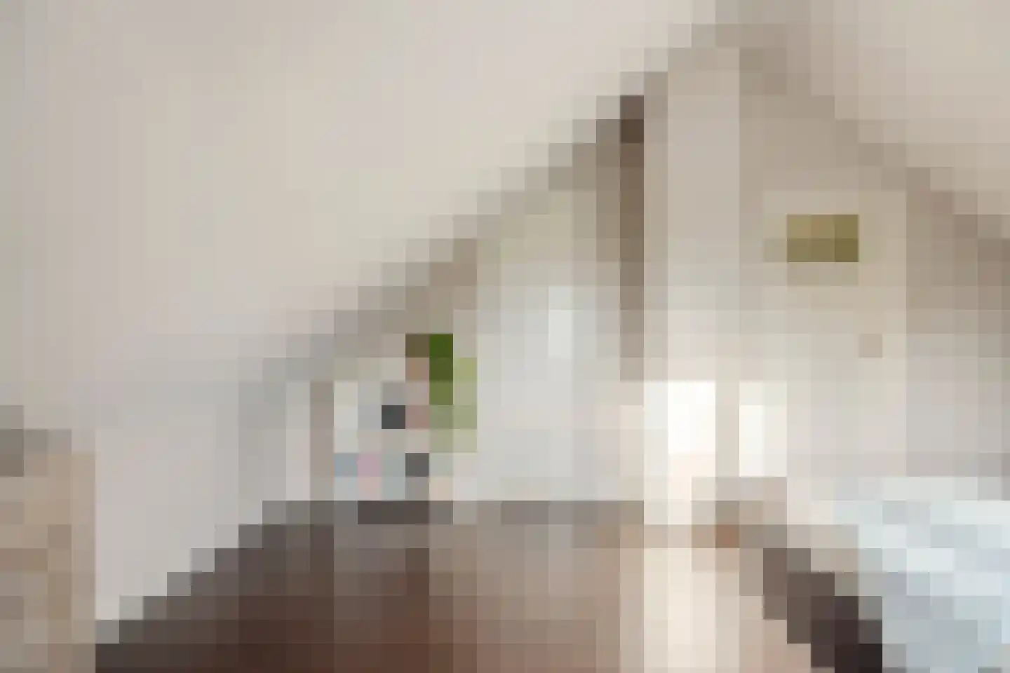 Populierenstraat 35 Vogelwaarde thumbnail 23
