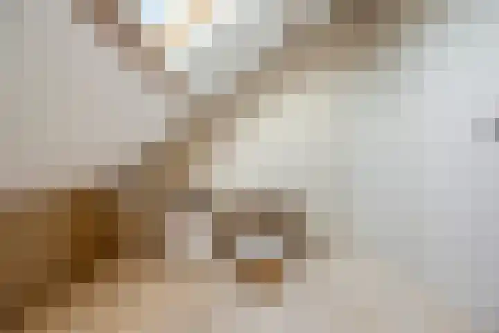 Populierenstraat 35 Vogelwaarde thumbnail 28