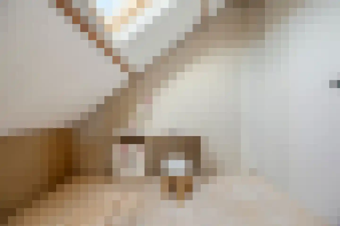 Populierenstraat 35 Vogelwaarde thumbnail 28
