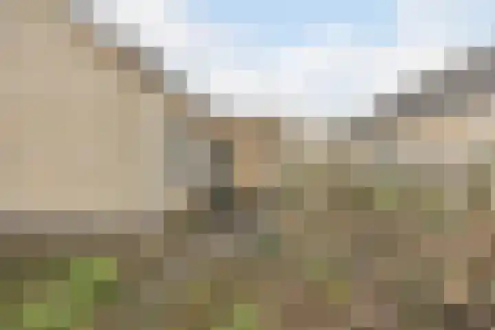 Populierenstraat 35 Vogelwaarde thumbnail 29