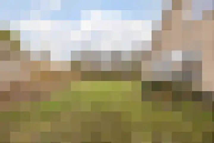 Populierenstraat 35 Vogelwaarde thumbnail 30