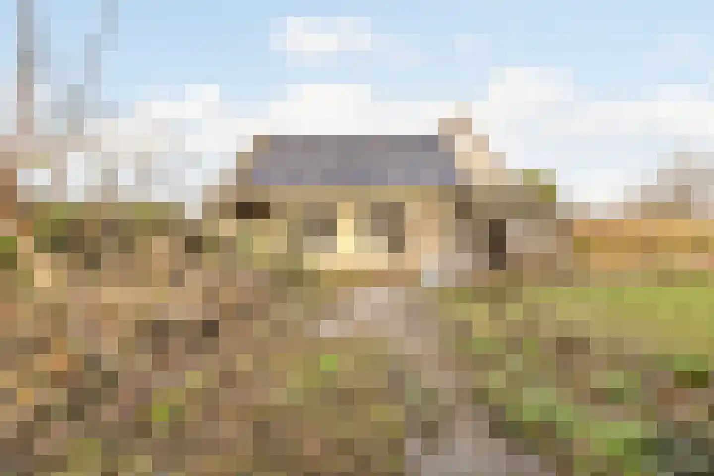 Populierenstraat 35 Vogelwaarde thumbnail 31