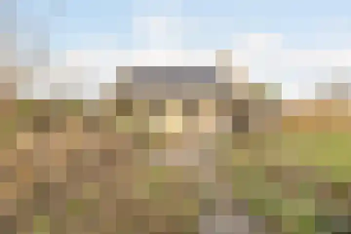 Populierenstraat 35 Vogelwaarde thumbnail 31