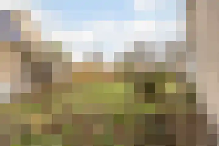 Populierenstraat 35 Vogelwaarde thumbnail 32