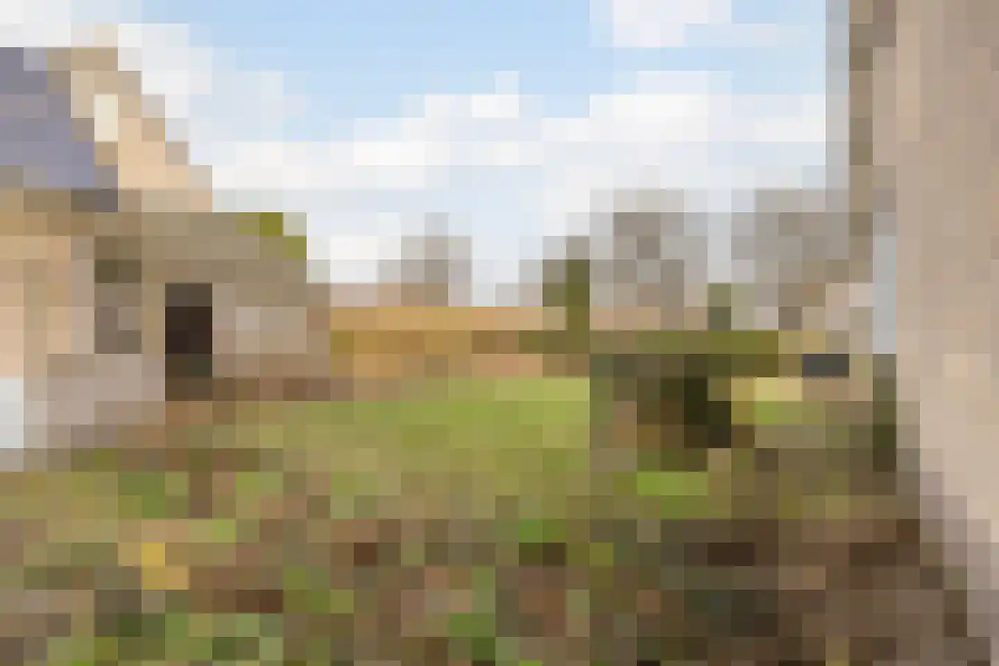 Populierenstraat 35 Vogelwaarde thumbnail 32