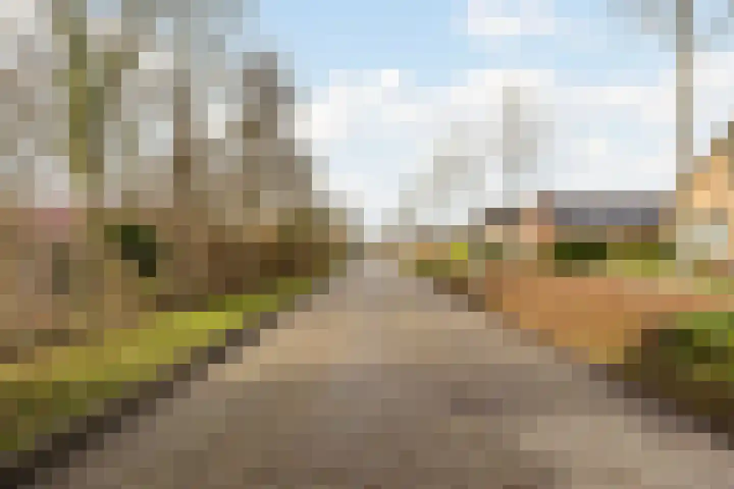 Populierenstraat 35 Vogelwaarde thumbnail 34