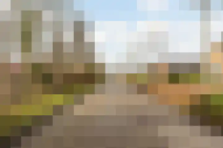 Populierenstraat 35 Vogelwaarde thumbnail 34