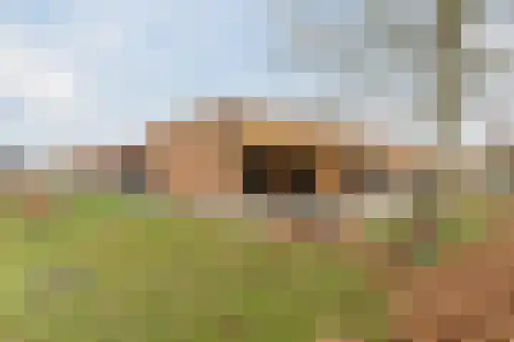 Populierenstraat 35 Vogelwaarde thumbnail 36