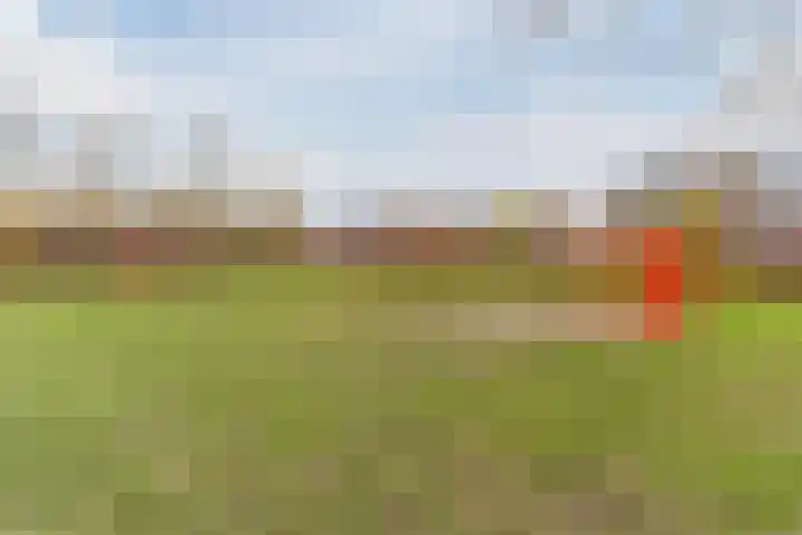 Populierenstraat 35 Vogelwaarde thumbnail 37