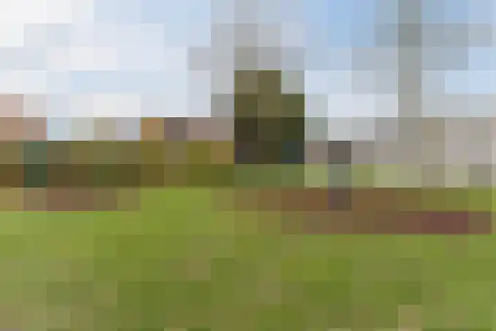 Populierenstraat 35 Vogelwaarde thumbnail 38