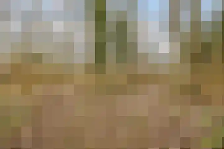 Populierenstraat 35 Vogelwaarde thumbnail 39