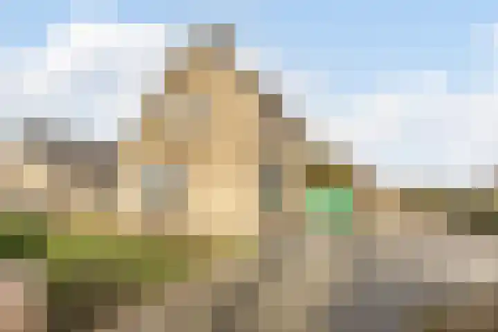 Populierenstraat 35 Vogelwaarde thumbnail 4