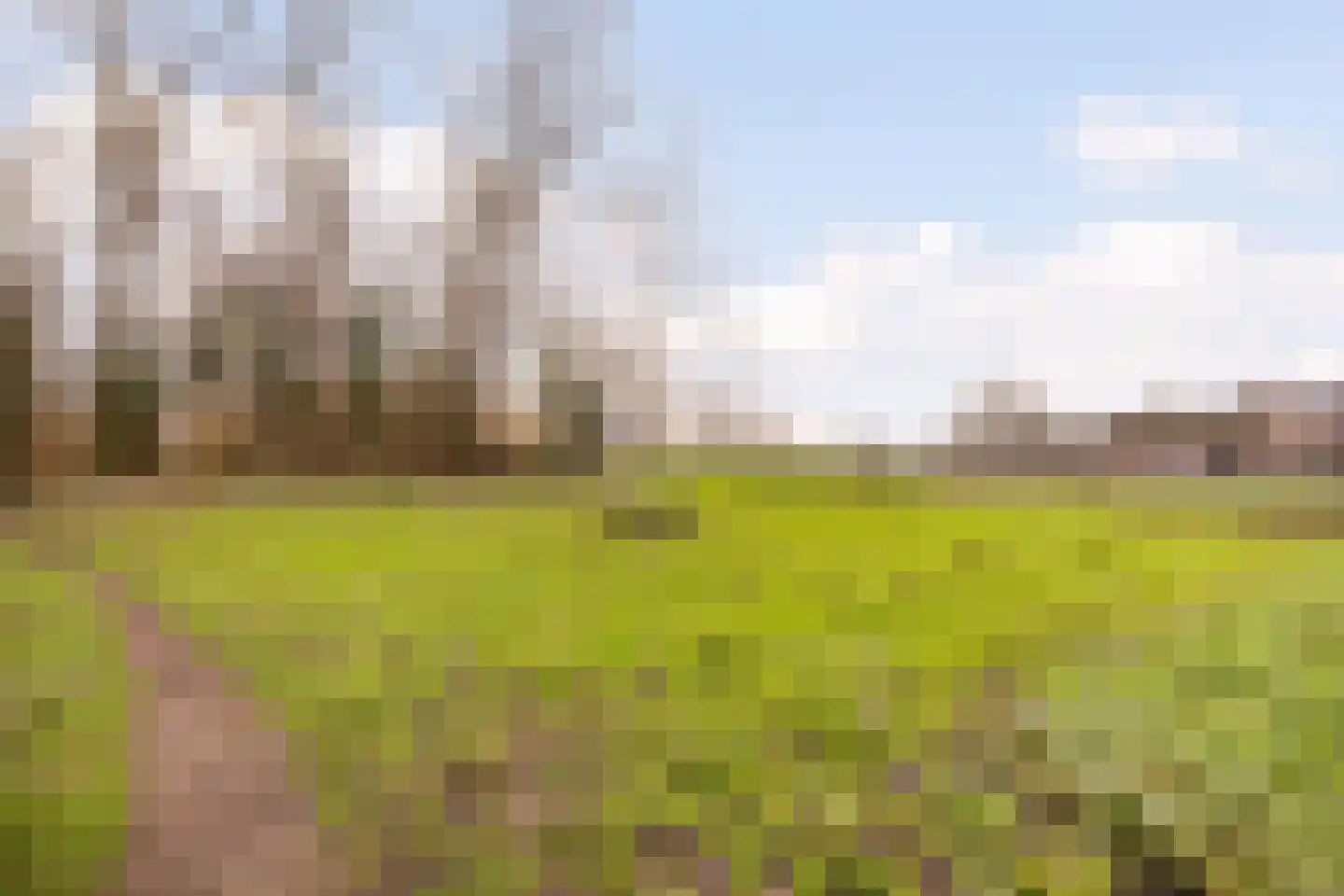 Populierenstraat 35 Vogelwaarde thumbnail 40