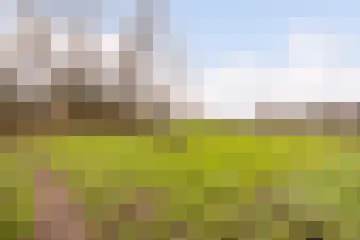 Populierenstraat 35 Vogelwaarde thumbnail 40