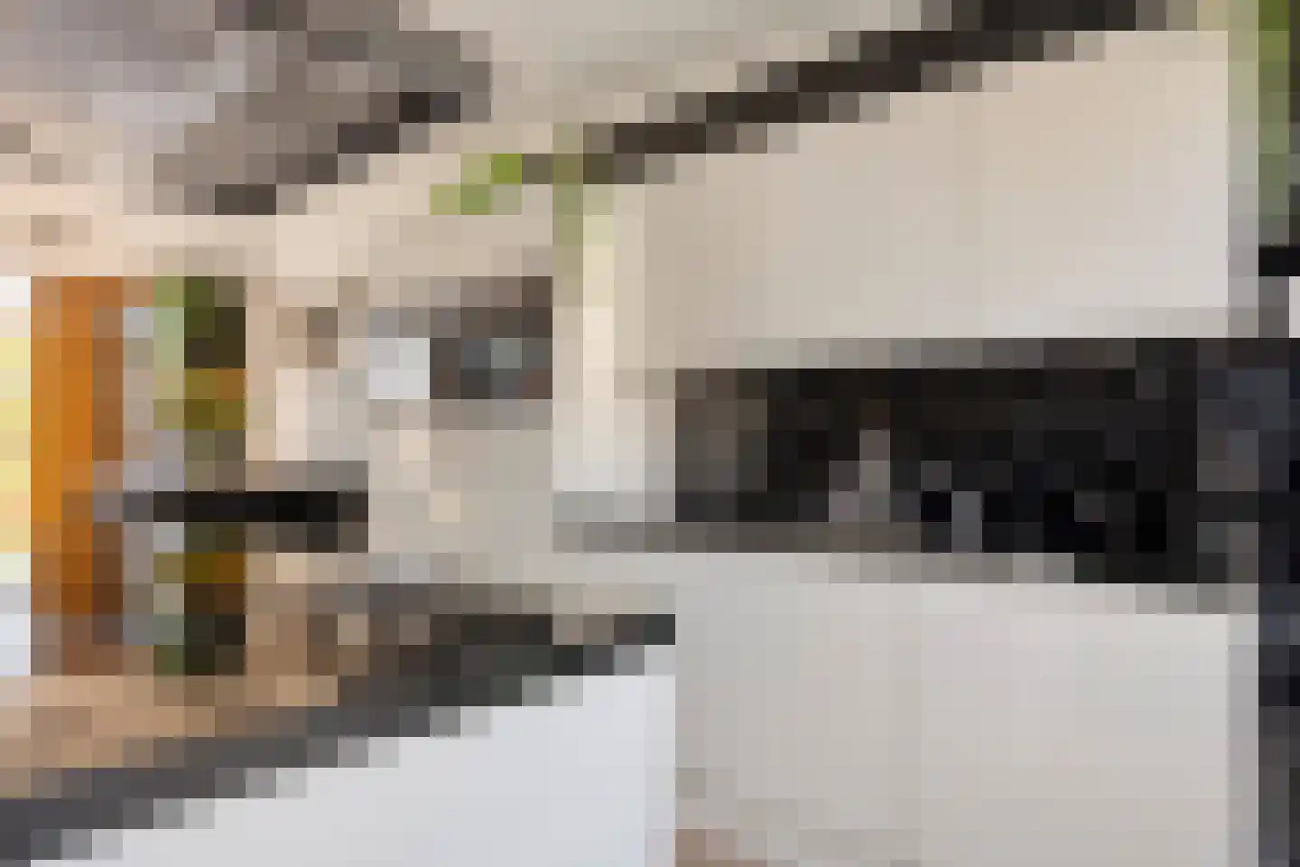 Populierenstraat 38 Fijnaart thumbnail 10