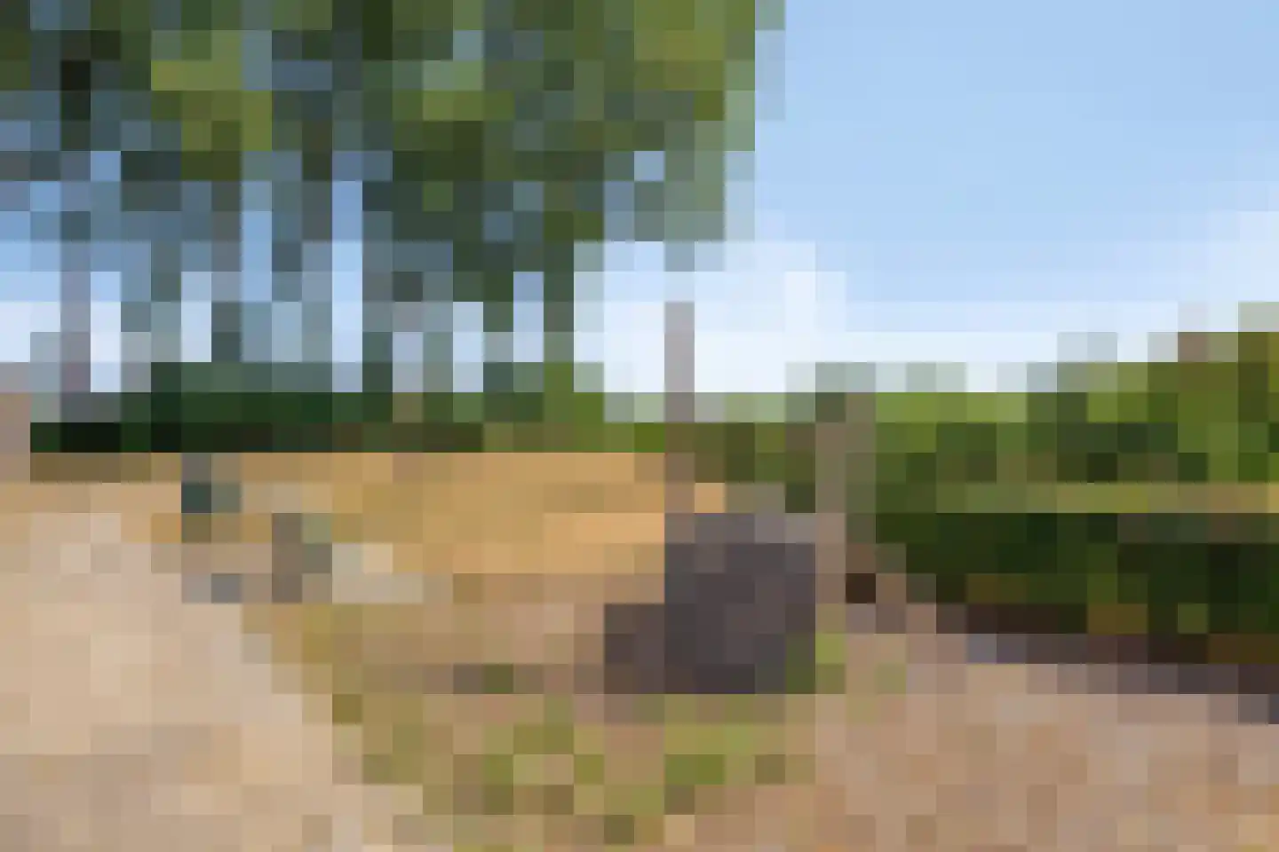 Populierenstraat 38 Fijnaart thumbnail 26
