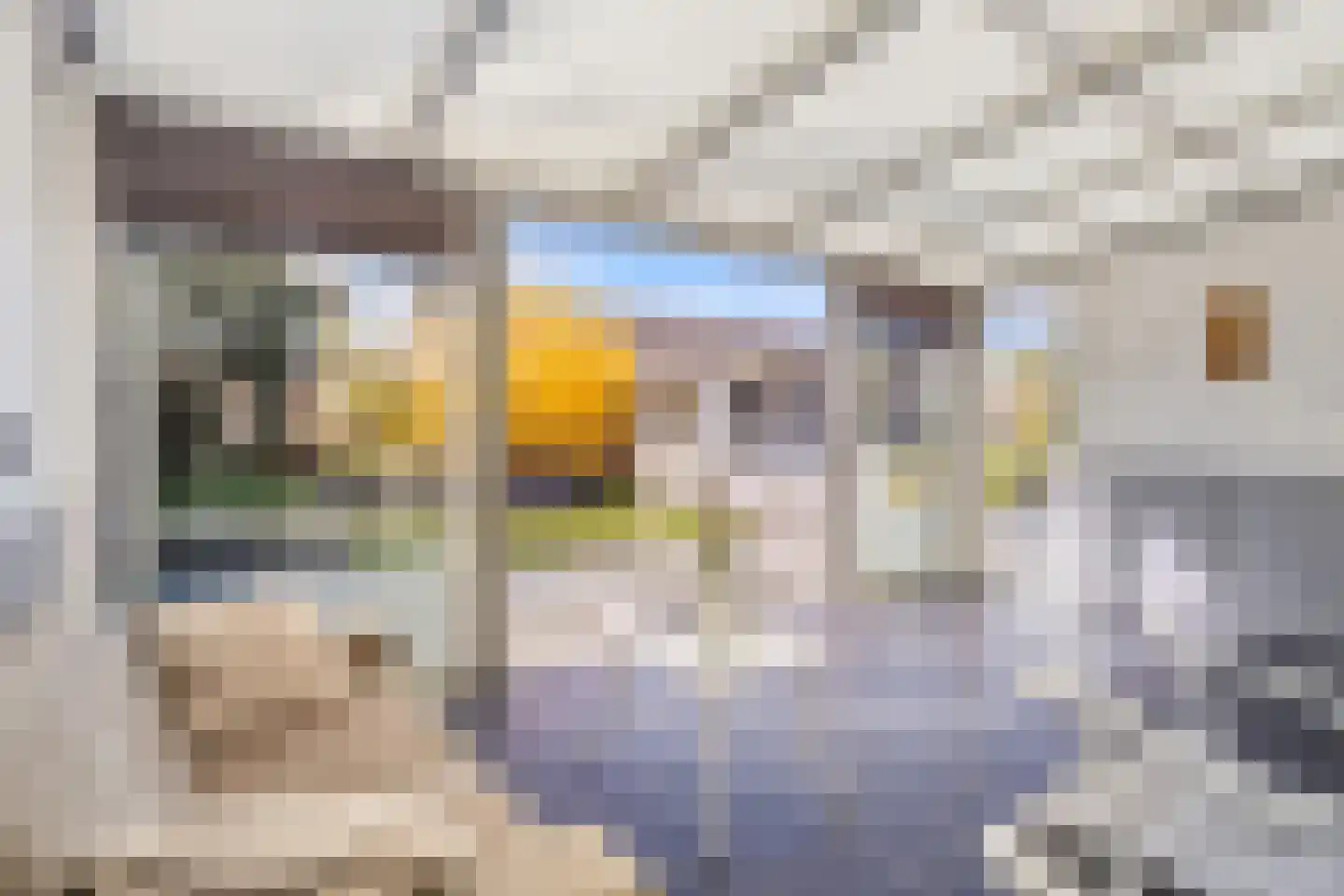 Populierenstraat 38 Vogelwaarde thumbnail 24