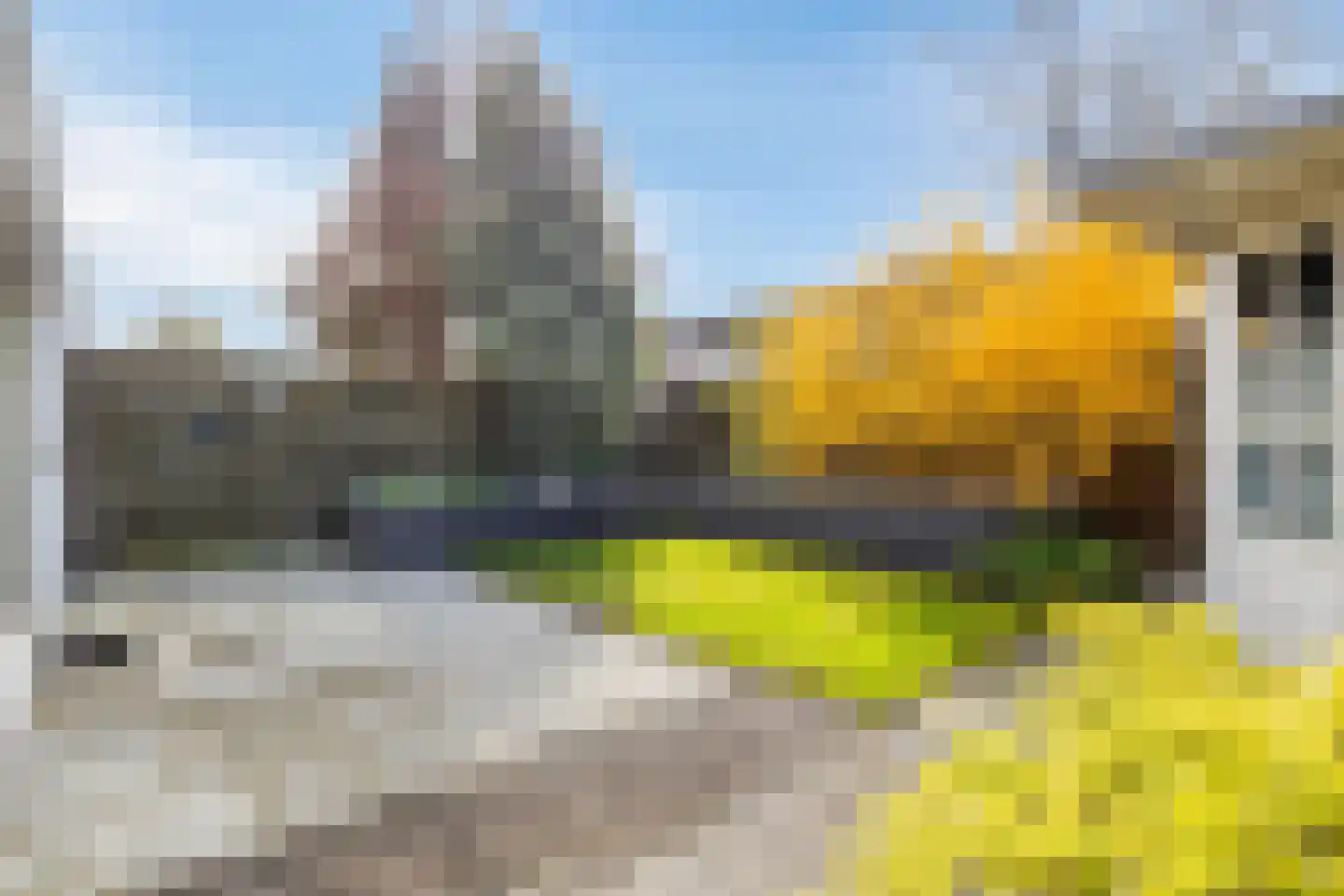 Populierenstraat 38 Vogelwaarde thumbnail 26