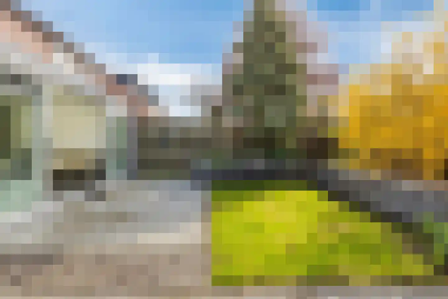 Populierenstraat 38 Vogelwaarde thumbnail 27