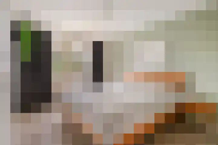 Populierenstraat 39 Roelofarendsveen thumbnail 12