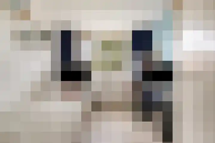 Populierenstraat 39 Roelofarendsveen thumbnail 14