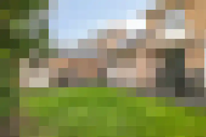 Populierenstraat 39 Roelofarendsveen thumbnail 21