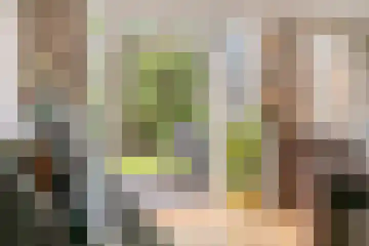 Populierenstraat 39 Roelofarendsveen thumbnail 6