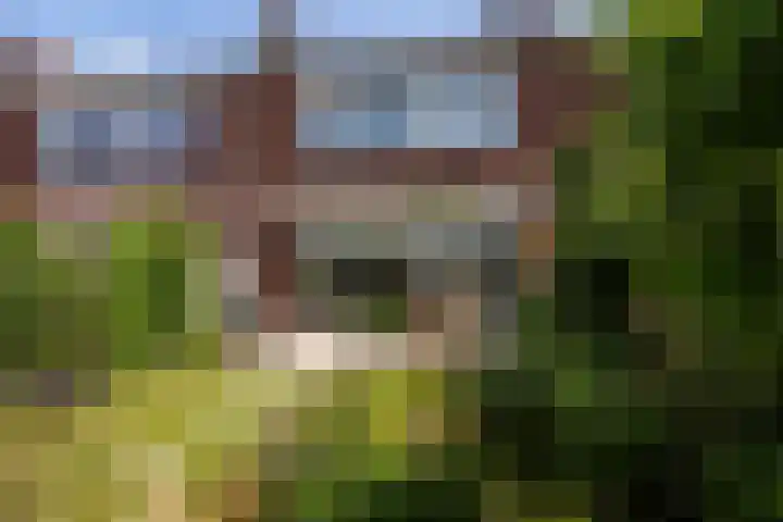 Populierenstraat 44 's-Gravenzande thumbnail 10