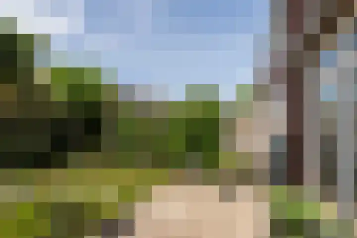 Populierenstraat 44 's-Gravenzande thumbnail 11