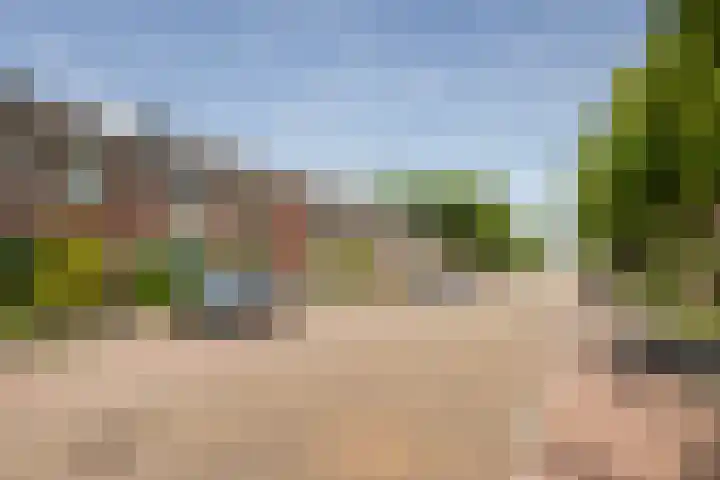 Populierenstraat 44 's-Gravenzande thumbnail 28