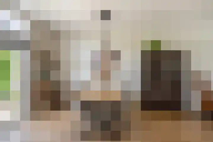 Populierenstraat 44 's-Gravenzande thumbnail 7