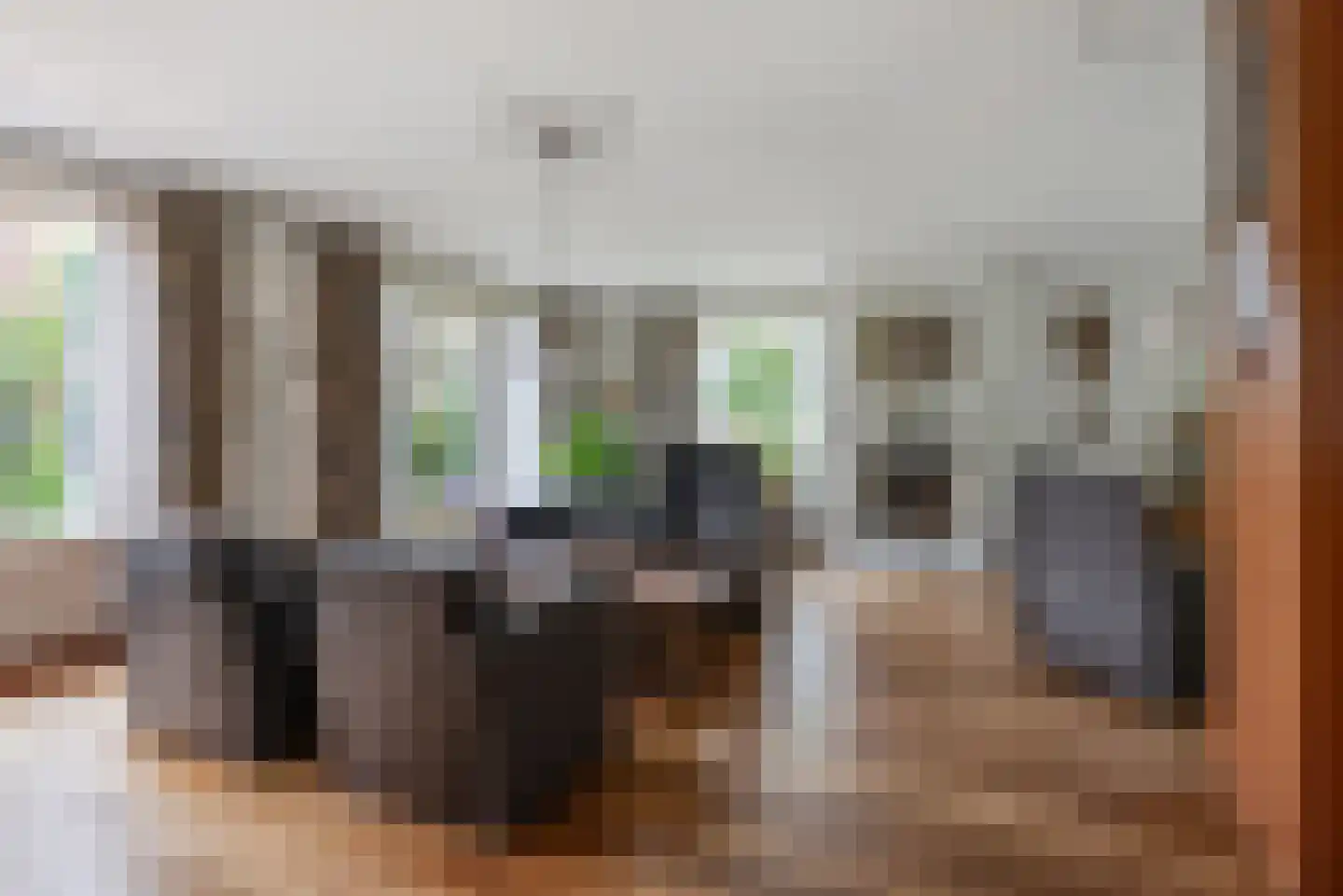 Populierenstraat 46 Roelofarendsveen thumbnail 11
