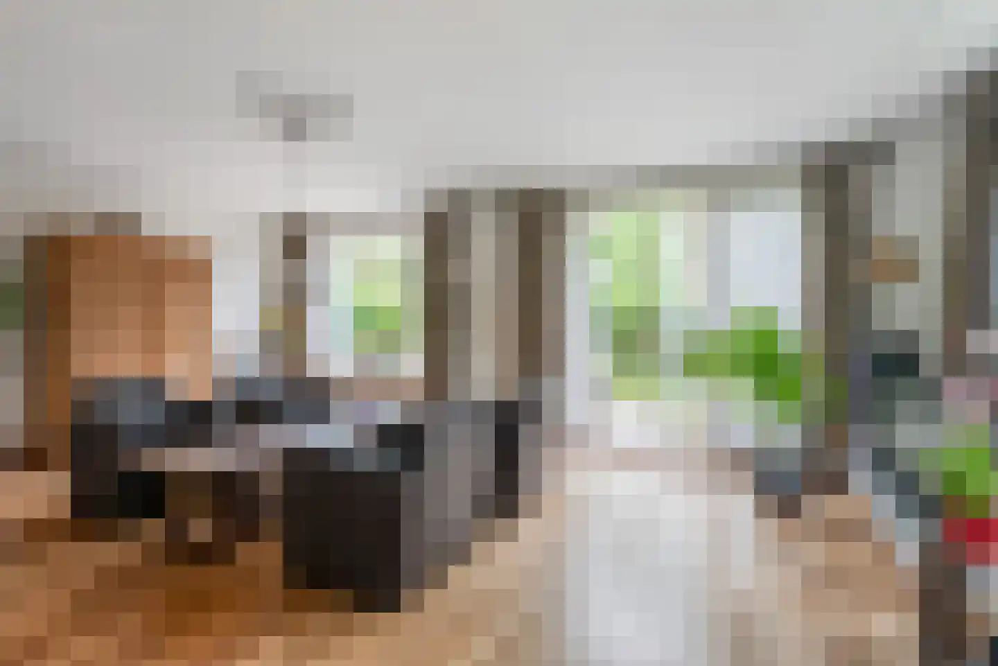 Populierenstraat 46 Roelofarendsveen thumbnail 14