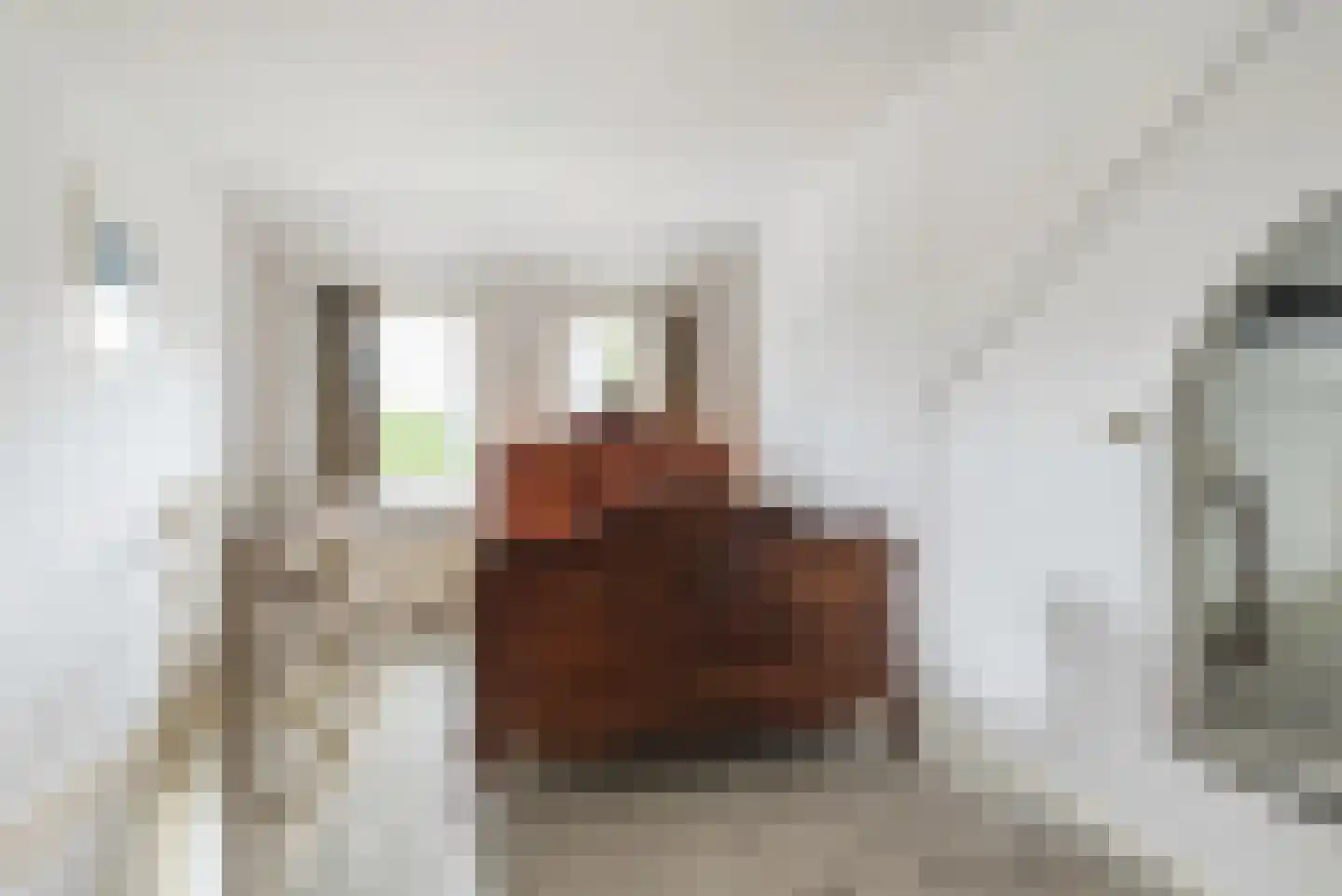 Populierenstraat 46 Roelofarendsveen thumbnail 21