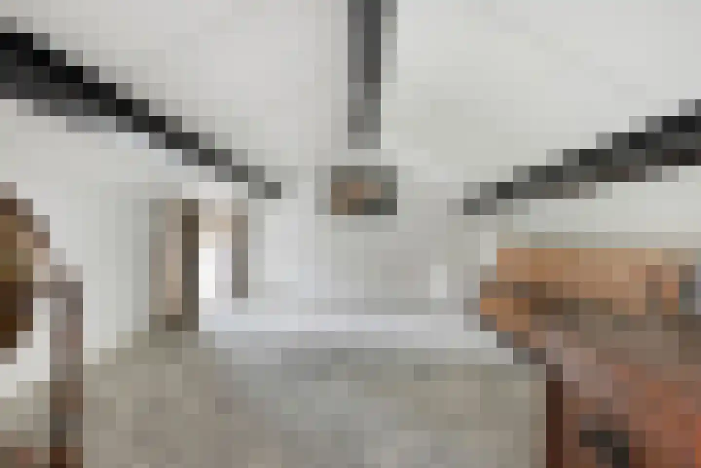 Populierenstraat 46 Roelofarendsveen thumbnail 22
