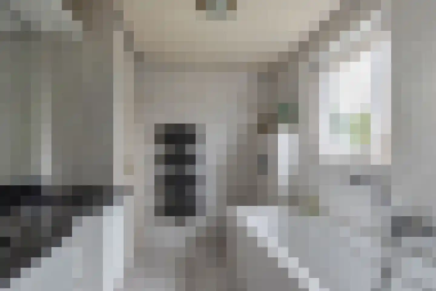 Populierenstraat 46 Roelofarendsveen thumbnail 27